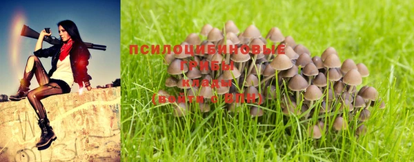 трава Горняк