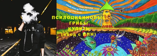 ГАЛЛЮЦИНОГЕННЫЕ ГРИБЫ Горнозаводск