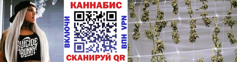 Купить где  Сольвычегодск  Бошки Шишки White Widow 